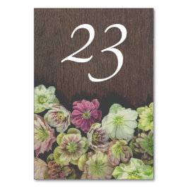 DRAMATISCHE Tuin Hellebore Tafelkaart Kaart