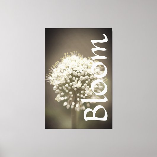 Dramatische tuinbloei canvas afdruk (Voorkant)