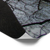 Dramatische Tulp Poplar Trees Cloudy Blue Sky Poster (Hoek)