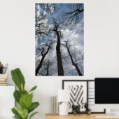 Dramatische Tulp Poplar Trees Cloudy Blue Sky Poster (Thuiskantoor)