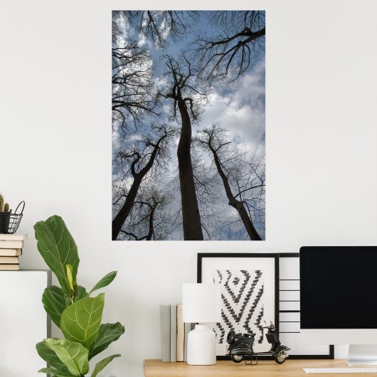 Dramatische Tulp Poplar Trees Cloudy Blue Sky Poster (Thuiskantoor)