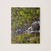 Dramatische Whitewater Herfsten in het najaar Legpuzzel (Verticaal)