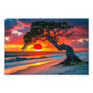 Dramatische Zonsondergang Boom boven Oceaan Strand Foto Afdruk