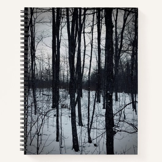 Dramatische zwarte en witte Notitieboek (Voorkant)