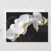 Dramatische zwarte orchidee 40e verjaardag kaart (Achterkant)