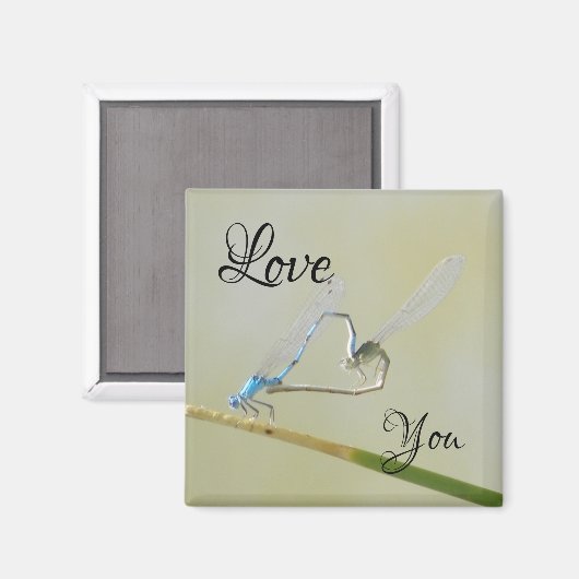 Drangonflies in liefde magneet (Voorkant / Achterkant)