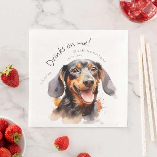 Drankjes Zijn Op Mij Dachshund Waterverf Pret Hond Servet (Insitu)