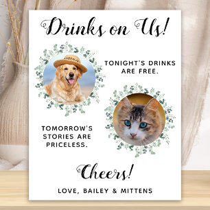 Drankjes Zijn Op Ons Hond Open Bar Foto Huisdier T Poster