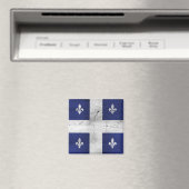 Drapeau du Québec style grunge érodé Magneet (Insitu (Vaatwasser))