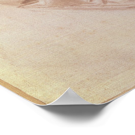 Drapery-onderzoek Poster (Hoek)