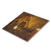 Drapery Room, nationaal park Mammoth Cave, Tegeltje (Zijkant)