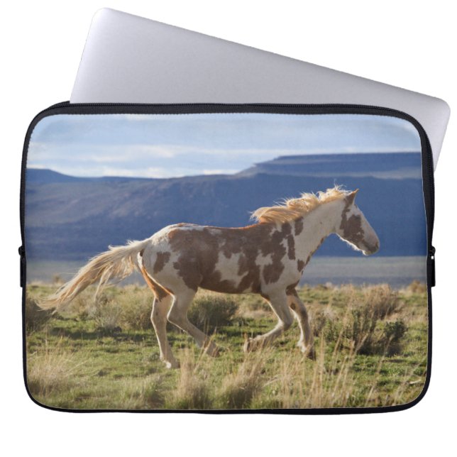 Dravend hengst, Steens Mountains, Oregon Laptop Sleeve (Voorkant)