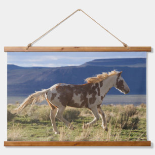 Dravend paard, Steens Mountains, Oregon Hangend Wandkleed