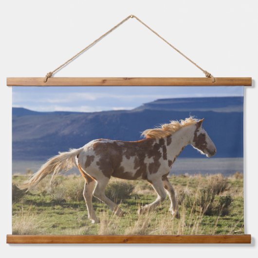 Dravend paard, Steens Mountains, Oregon Hangend Wandkleed (Voorkant)