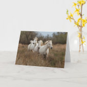Dravende Camargue-paarden Kaart (Gele Bloem)