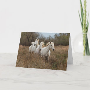 Dravende Camargue-paarden Kaart