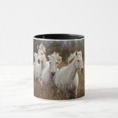Dravende Camargue-paarden Mok (Midden)