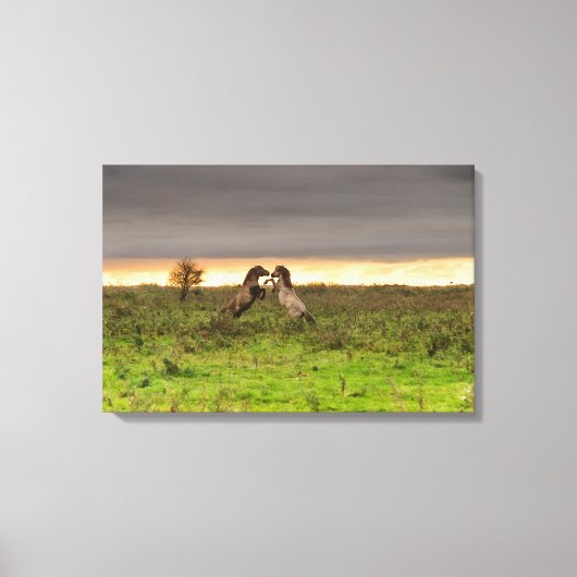 Dravende paarden canvas afdruk (Voorkant)