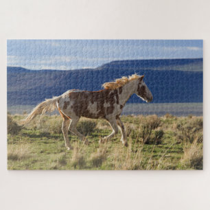 Draver Hengst, Steens Mountains, Oregon Legpuzzel