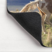Draver Stallion, Steens Mountains, Oregon Muismat (Hoek)