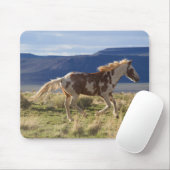 Draver Stallion, Steens Mountains, Oregon Muismat (Met muis)