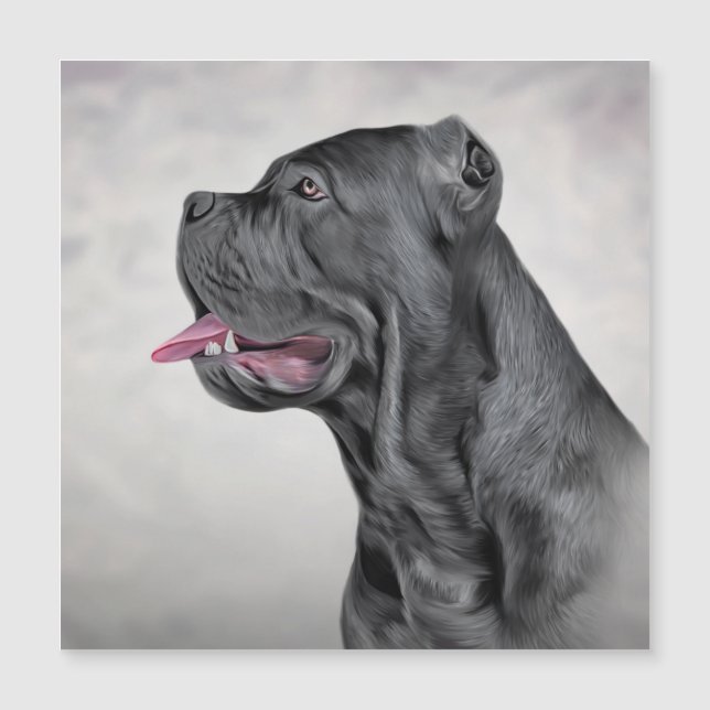 Drawing dog Cane Corso - Italiaans Mastiff 12 (Voorkant)