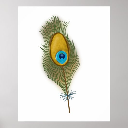 Drawing of a Single Peacock Feather Poster (Voorkant)