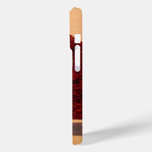 Dreadneen Acoustic 6 String Guitar Case-Mate iPhone Case (Achterkant / Links)