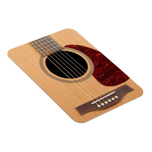 Dreadneen Acoustic 6 String Guitar Magneet (Rechterzijde)