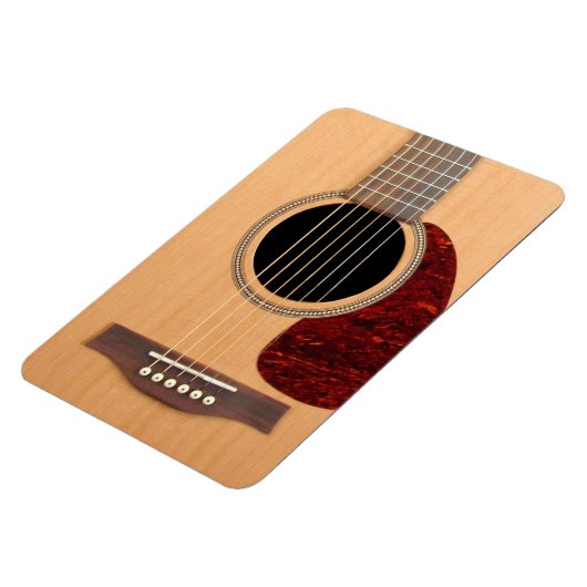 Dreadneen Acoustic 6 String Guitar Magneet (Linkerzijde)