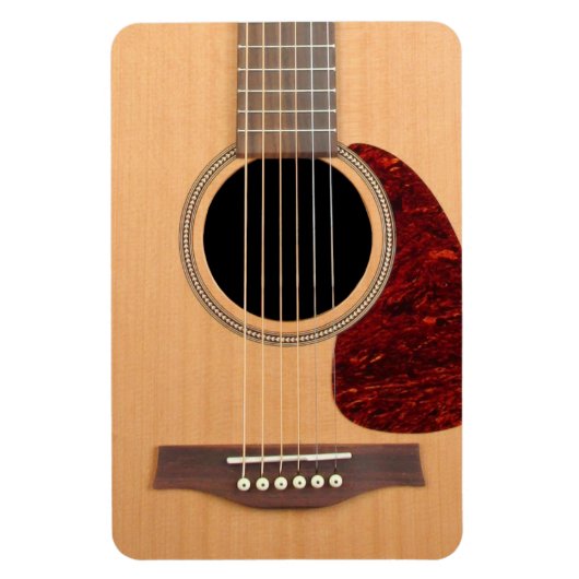 Dreadneen Acoustic 6 String Guitar Magneet (Verticaal)