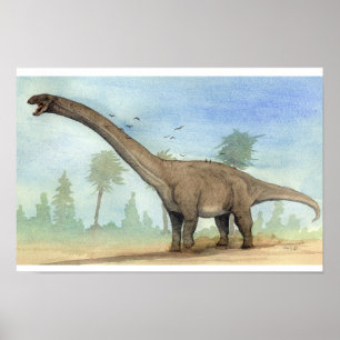 Dreadnoughtus Print
