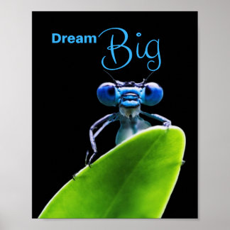 Dream Big Dragonfly Motivatie Matt Poster