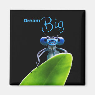 Dream Big Dragonfly Motivatie Quote Magnet