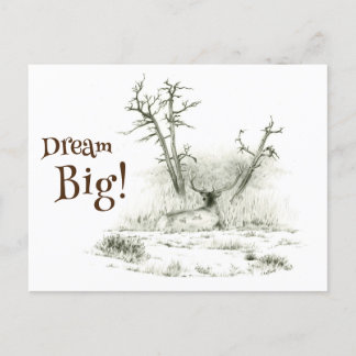 Dream Big Elk Postcrossing Briefkaart