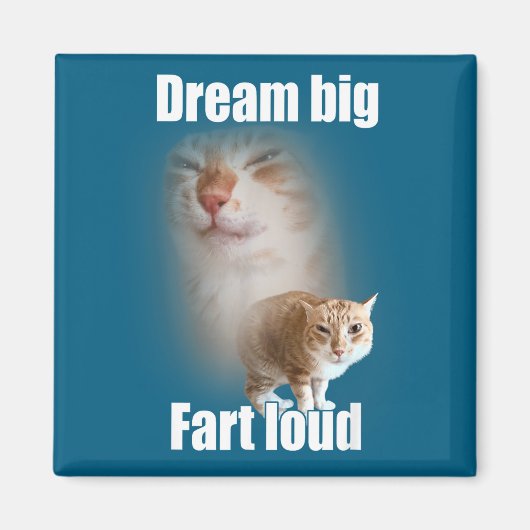 Dream Big Fart Loud Cat Meme Funny Saying Magneet (Voorkant)