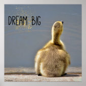 Dream Big Motivatie Poster (Voorkant)