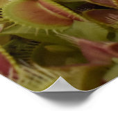 Dream Big not small. Poster (Hoek)