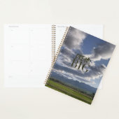 Dream Big Planner (Display)