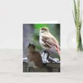 Dream Big Ragdoll Cat Bird Note Kaart (Voorkant)