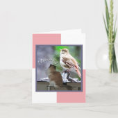 Dream Big Ragdoll Cat Bird Note Kaart (Voorkant)