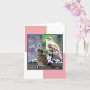 Dream Big Ragdoll Cat Bird Note Kaart