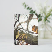 Dream Bigger dan Life Squirrel Briefkaart (Staand voorkant)