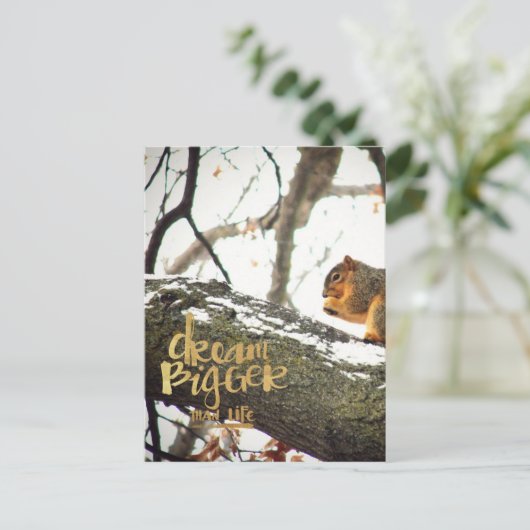 Dream Bigger dan Life Squirrel Briefkaart (Staand voorkant)