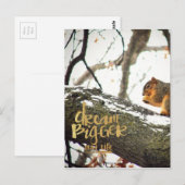 Dream Bigger dan Life Squirrel Briefkaart (Voorkant / Achterkant)