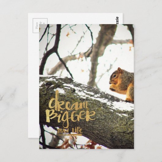 Dream Bigger dan Life Squirrel Briefkaart (Voorkant / Achterkant)