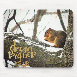 Dream Bigger dan Life Squirrel Muismat