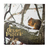 Dream Bigger dan Life Squirrel Tegeltje (Voorkant)