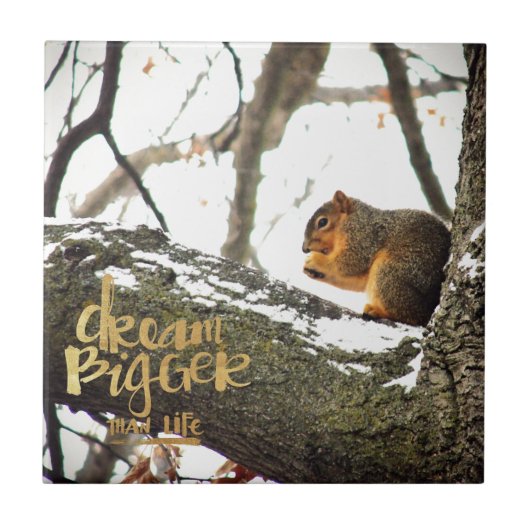 Dream Bigger dan Life Squirrel Tegeltje (Voorkant)