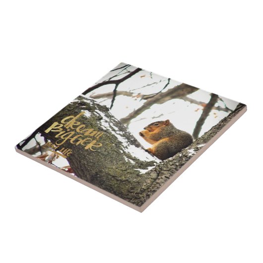 Dream Bigger dan Life Squirrel Tegeltje (Zijkant)